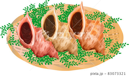 つぶ貝 つぶ貝 83073321