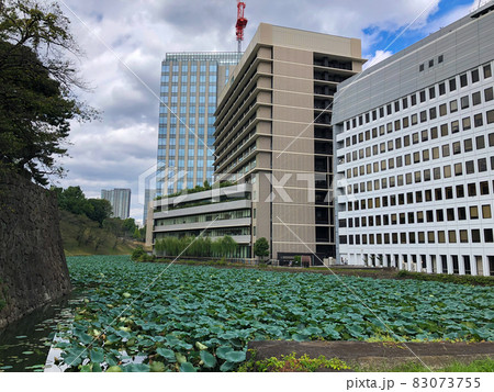 東京・江戸城(皇居)牛ヶ淵 東京・江戸城(皇居)牛ヶ淵 83073755