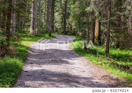 A dirt road 83074014