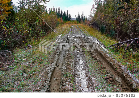 A muddy road with ruts in a cutline A muddy road with ruts in a cutline 83076182