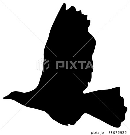 Concept of love or peace. Silhouettes doves 83076926