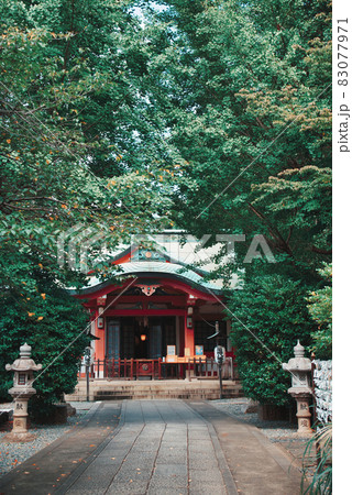 参道 参道 83077971