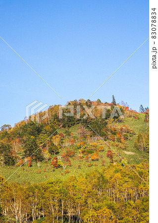 秋の野反湖畔より八間山登山道方面の紅葉 83078834