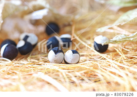 フウセンカズラの種【ハート模様】 83079226