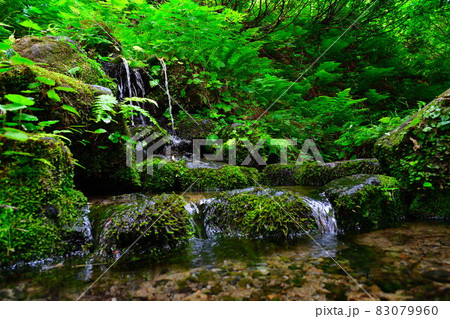 杜々の森名水公園(新潟県) 杜々の森名水公園(新潟県) 83079960
