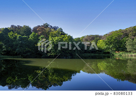 秋の狭山丘陵　狭山公園の宅部池 83080133