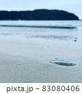 クラゲが打ち上がった海岸 83080406