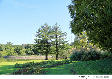 初秋の公園 83080460