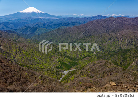 丹沢・塔ノ岳から見る新緑の山並みと富士山・南アルプス 83080862
