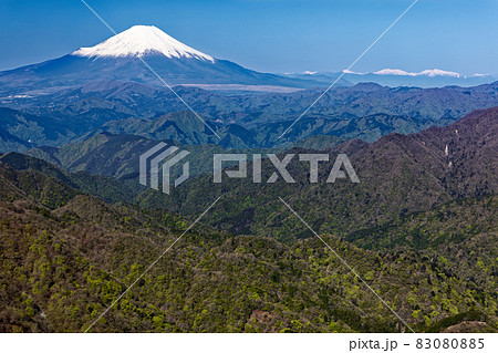 丹沢・塔ノ岳から見る新緑の山並みと富士山・南アルプス 83080885