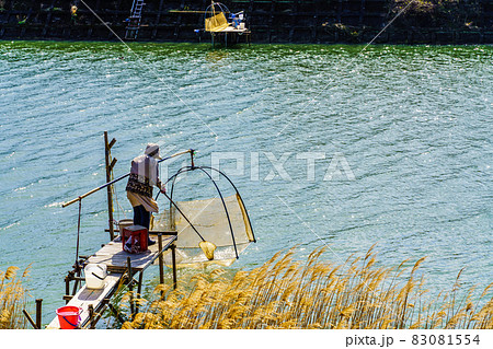 佐々川のシロウオ魚　【長崎県北松浦郡佐々町】 83081554