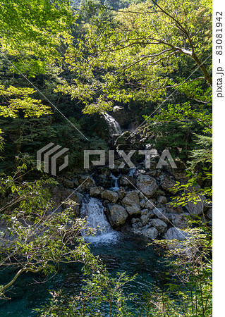 三重県　大台町　大杉谷　渓谷　風景 83081942