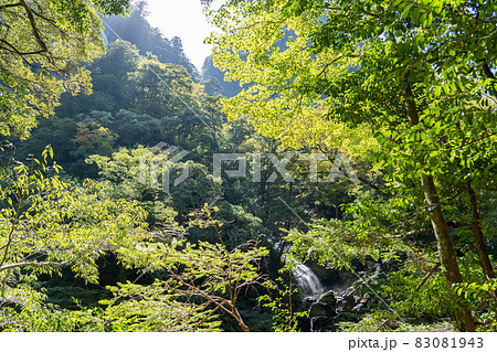 三重県 大台町 大杉谷 渓谷 風景 三重県 大台町 大杉谷 渓谷 風景 83081943