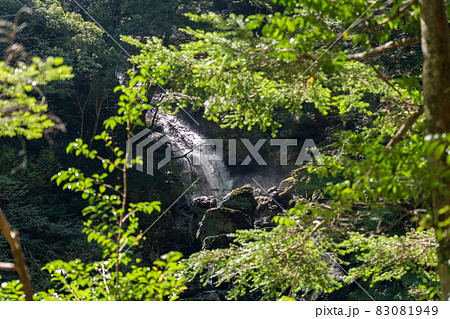 三重県　大台町　大杉谷　渓谷　風景 83081949