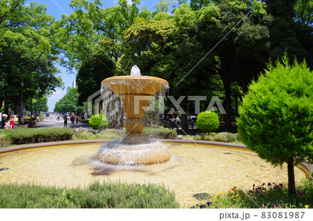 晴天の横浜公園の噴水と癒しの風景 晴天の横浜公園の噴水と癒しの風景 83081987