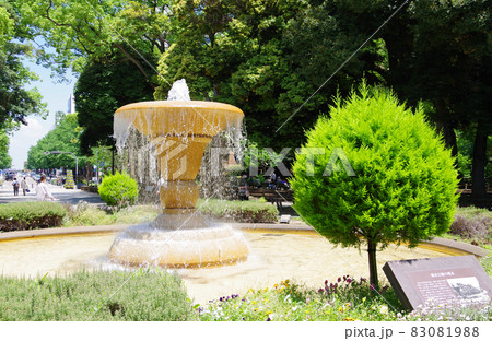 晴天の横浜公園の噴水と癒しの風景 晴天の横浜公園の噴水と癒しの風景 83081988