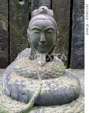 東京墨田区・木母寺の蛇身弁財天 東京墨田区・木母寺の蛇身弁財天 83082192