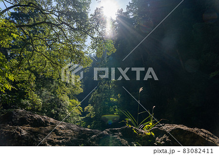 三重県　大台町　大杉谷　渓谷　風景 83082411