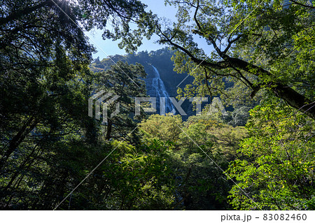 三重県　大台町　大杉谷　渓谷　風景 83082460