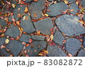 秋の石畳 83082872