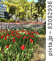 よこはま花と緑のスプリングフェア2021  (2021年4月撮影) 83082936
