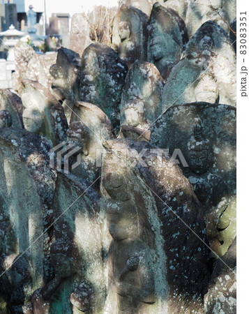 埼玉県川口市・専称寺の寄せ仏 83083351