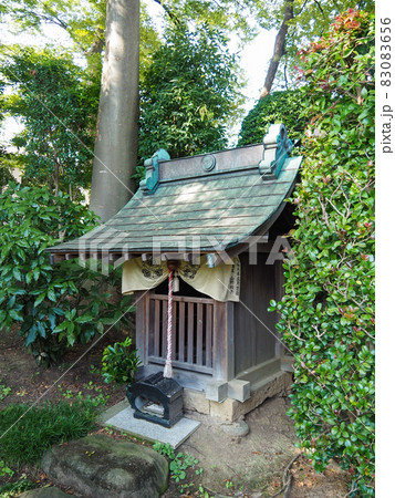 埼玉県川口市・専称寺の蛇身弁財天 83083656