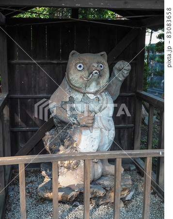 埼玉県川口市・専称寺のたぬき堂 83083658