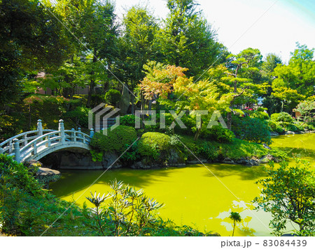 東京墨田区・旧安田庭園 東京墨田区・旧安田庭園 83084439