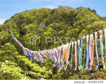 茨城県の竜神峡鯉のぼりまつりで吊橋に架けられた鯉のぼりが泳ぐ様子の写真素材 0850