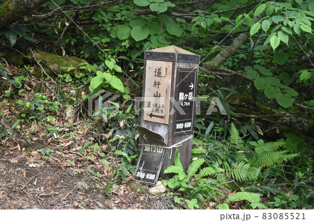 道行山分岐 道行山分岐 83085521