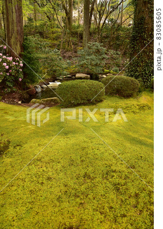 京都　三千院の風景 83085605