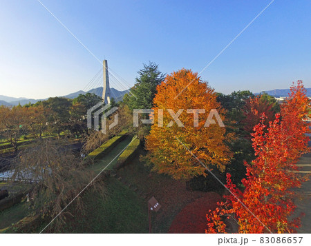 【ドローン空撮・京都府　亀岡運動公園】秋の景色　京都府亀岡市 83086657