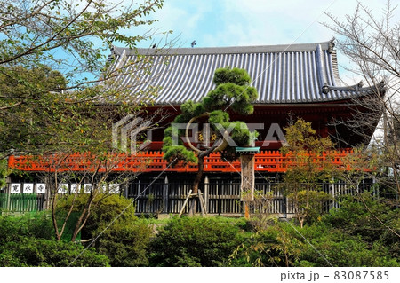 上野　寛永寺　清水観音堂 83087585