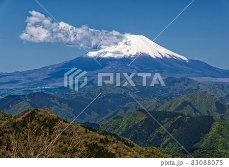 丹沢・鍋割山から見る新緑の山並みと富士山 83088075