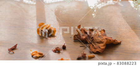 窓際の落ち葉 83088223