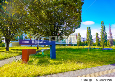 国立国語研究所 83089496