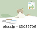 Flat art and cartoon design with scottish white brown tabby cat look and wait for eat food on table 83089706