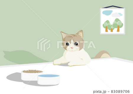 Flat art and cartoon design with scottish white brown tabby cat look and wait for eat food on table Flat art and cartoon design with scottish white brown tabby cat look and wait for eat food on table 83089706
