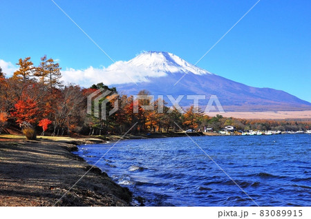 山中湖 夕焼けの渚・紅葉まつり 富士山と山中湖と湖岸緑地公園の紅葉 山中湖 夕焼けの渚・紅葉まつり 富士山と山中湖と湖岸緑地公園の紅葉 83089915