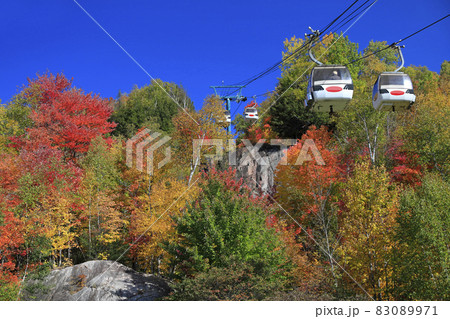 Funiculars at Mont Tremblant with autumn color leaf, Quebec, Canada 83089971