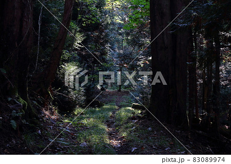 早池峰山門馬コース登山道 早池峰山門馬コース登山道 83089974