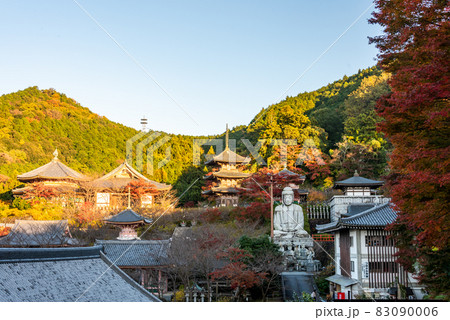 《奈良県》南法華寺（壷阪寺） 83090006