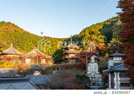 《奈良県》南法華寺(壷阪寺) 《奈良県》南法華寺(壷阪寺) 83090007