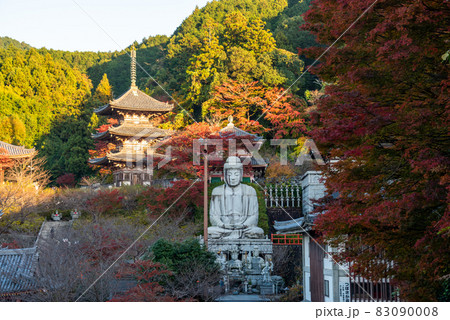 《奈良県》南法華寺（壷阪寺） 83090008