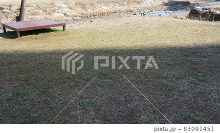 自然 公園 屋外 83091451