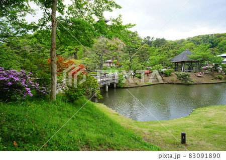 日本庭園 木造の橋 ツツジの花 日本庭園 木造の橋 ツツジの花 83091890
