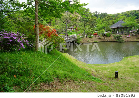 日本庭園 木造の橋 ツツジの花 日本庭園 木造の橋 ツツジの花 83091892