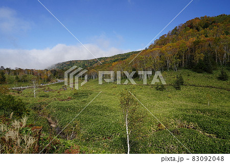 秋の志賀高原 滋賀草津道路 国道292号 木戸湿原 平床付近 秋の志賀高原 滋賀草津道路 国道292号 木戸湿原 平床付近 83092048