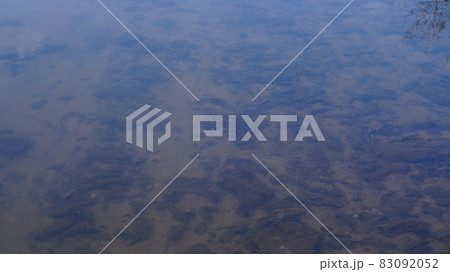 目 雲 空 83092052